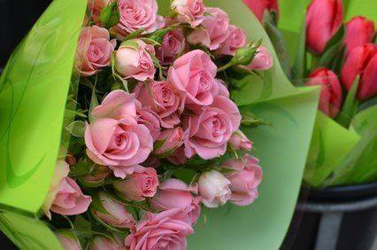 roses