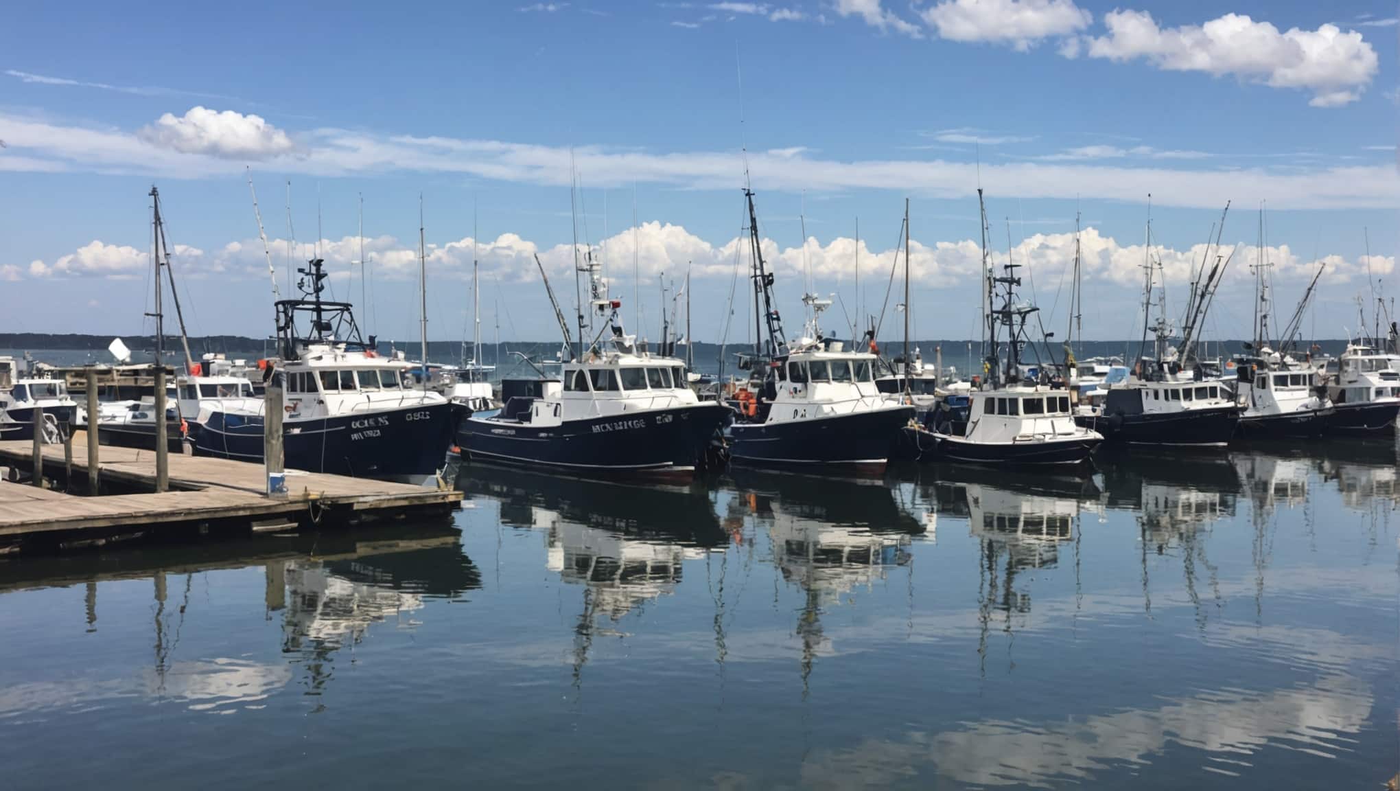The Gironde Fishing Federation Launches Its Erp And Edms Project With Ixcys.jpeg
